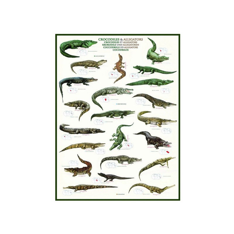 Puzzle Eurographics - Krokodile und...