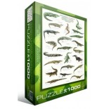 Puzzle Eurographics - Krokodile und Alligatoren, 1000 piese (6000-4680)