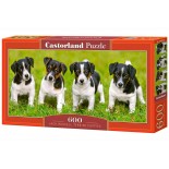 Puzzle panoramic Castorland -Jack Russell Terrier Puppies, 600 Piese (60337)