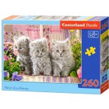 Puzzle Castorland -Three Grey Kittens, 260 Piese (27491)