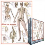 Puzzle Eurographics - The Skeletl System, 1000 piese (6000-2014)