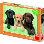Puzzle Dino -Puppies, 300 Piese (62920)